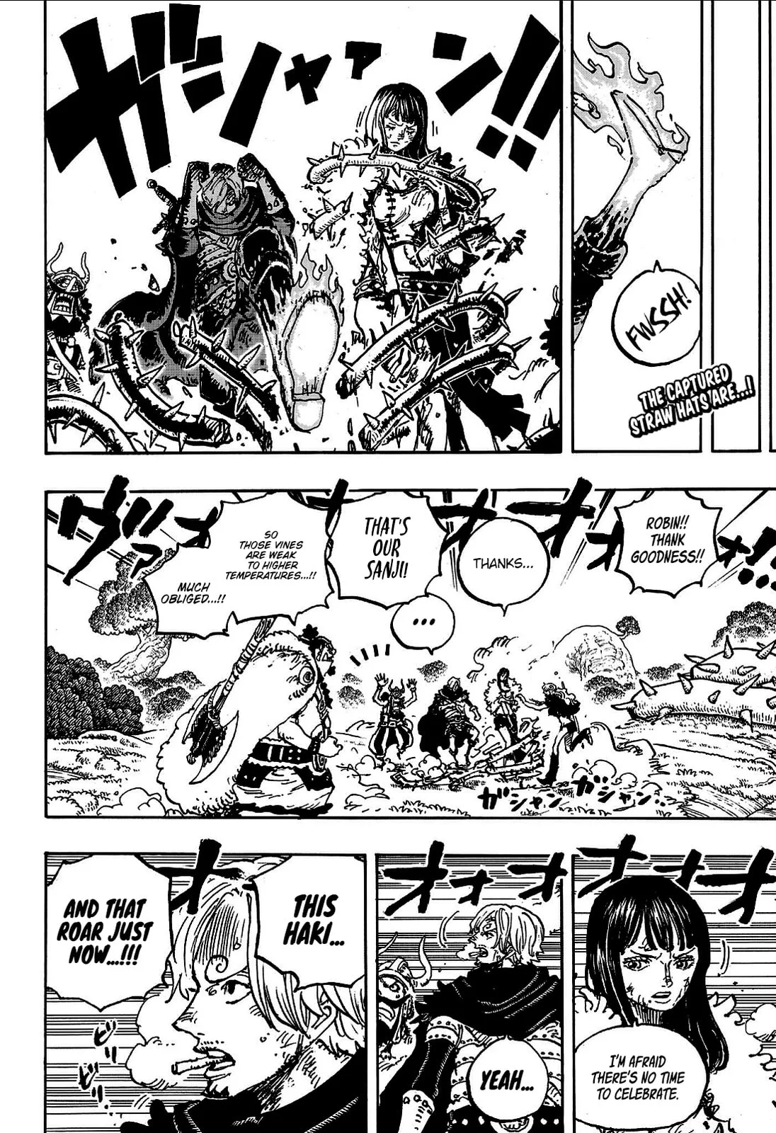 One Piece Manga, chapter 1175, page 2
