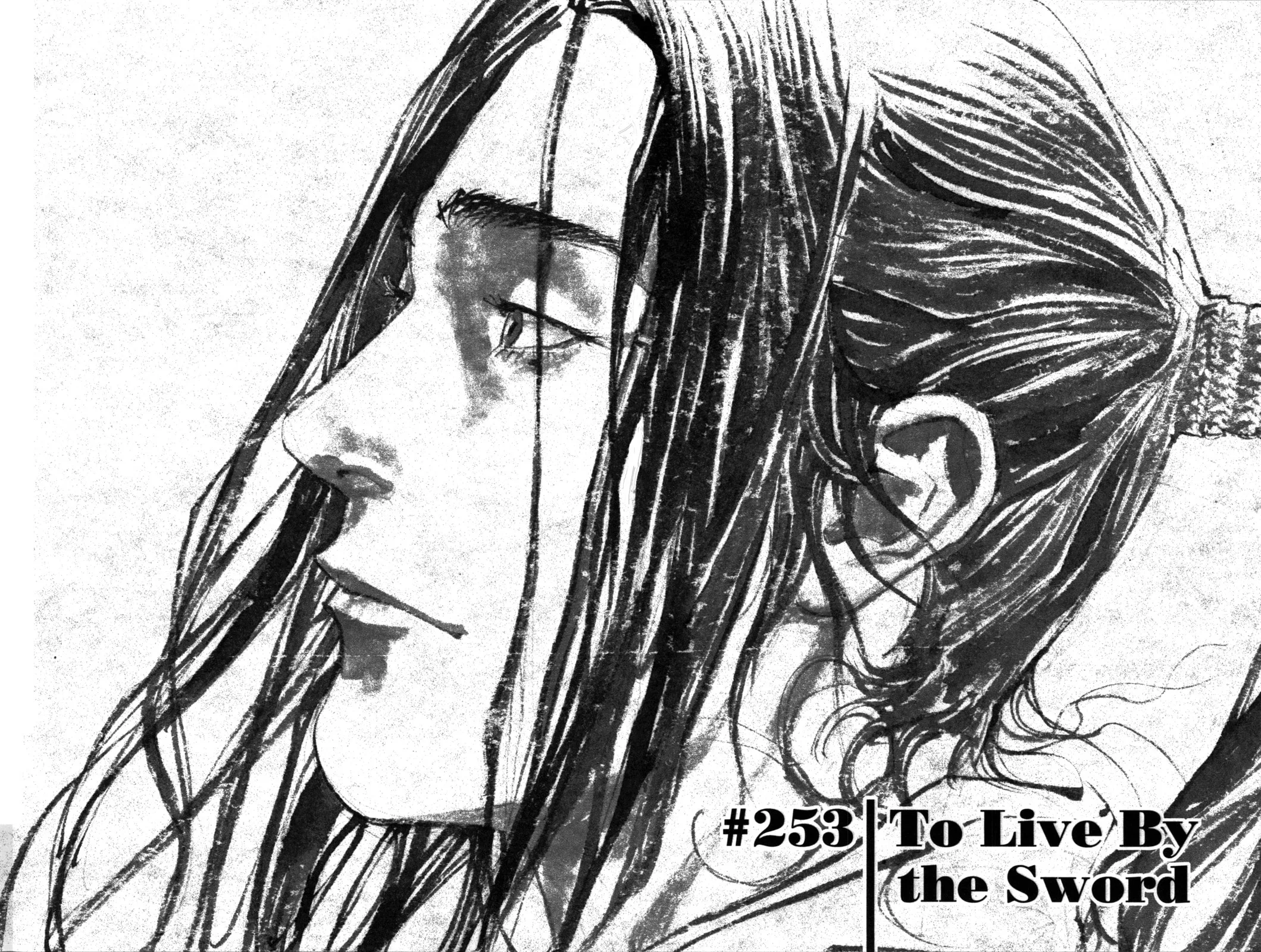 Vagabond Manga, chapter 253, page 2