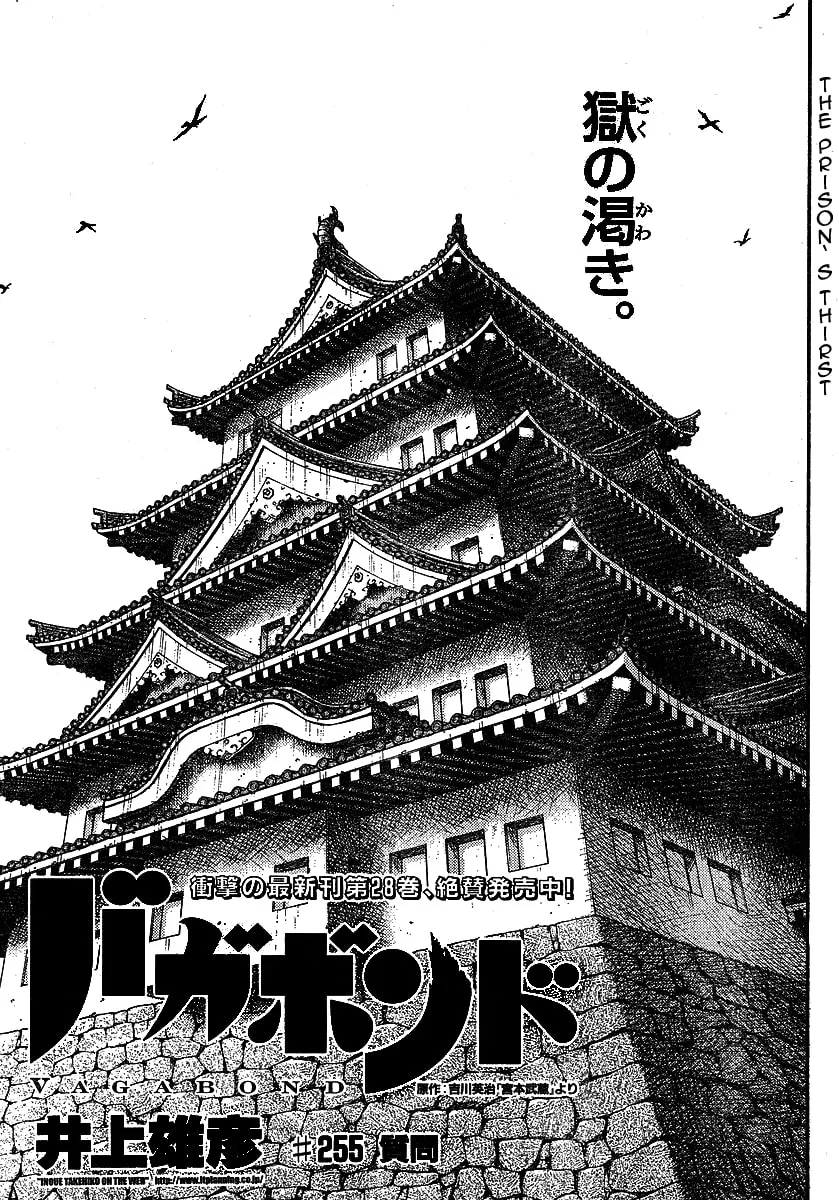 Vagabond Manga, chapter 255, page 1