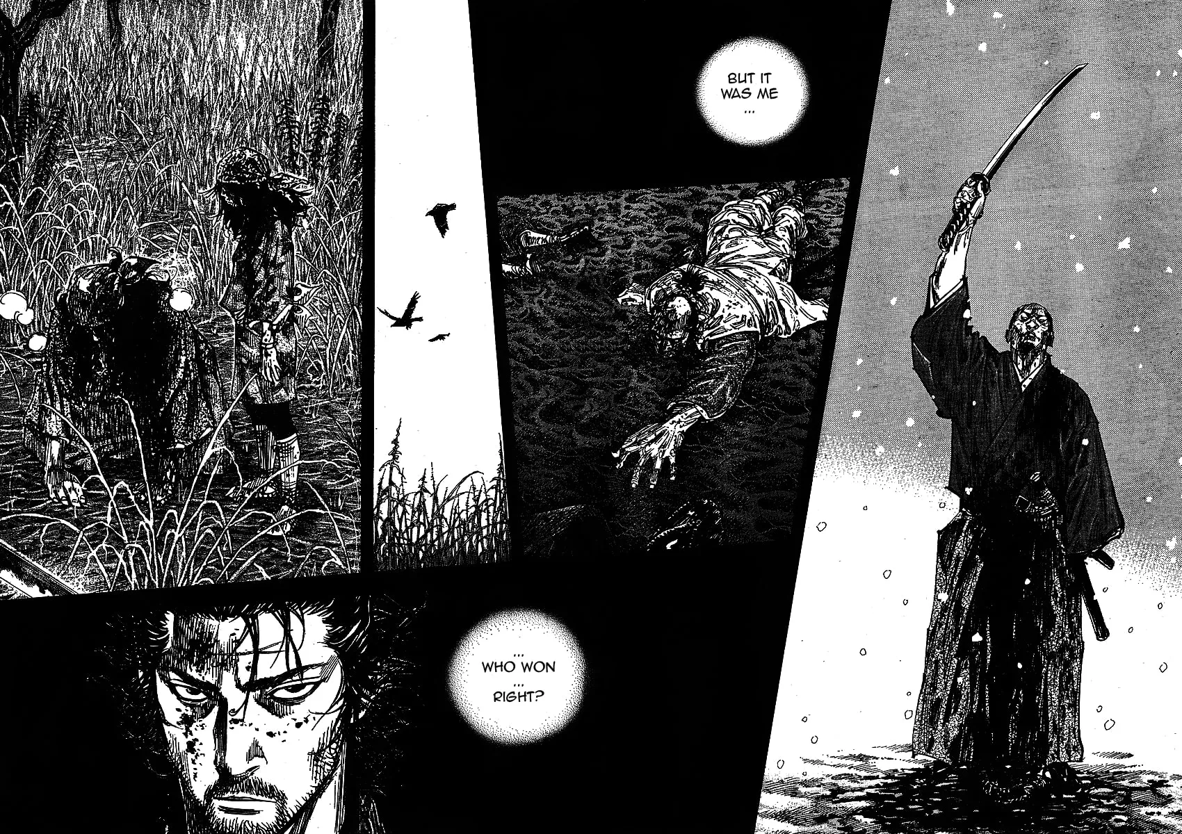 Vagabond Manga, chapter 255, page 18