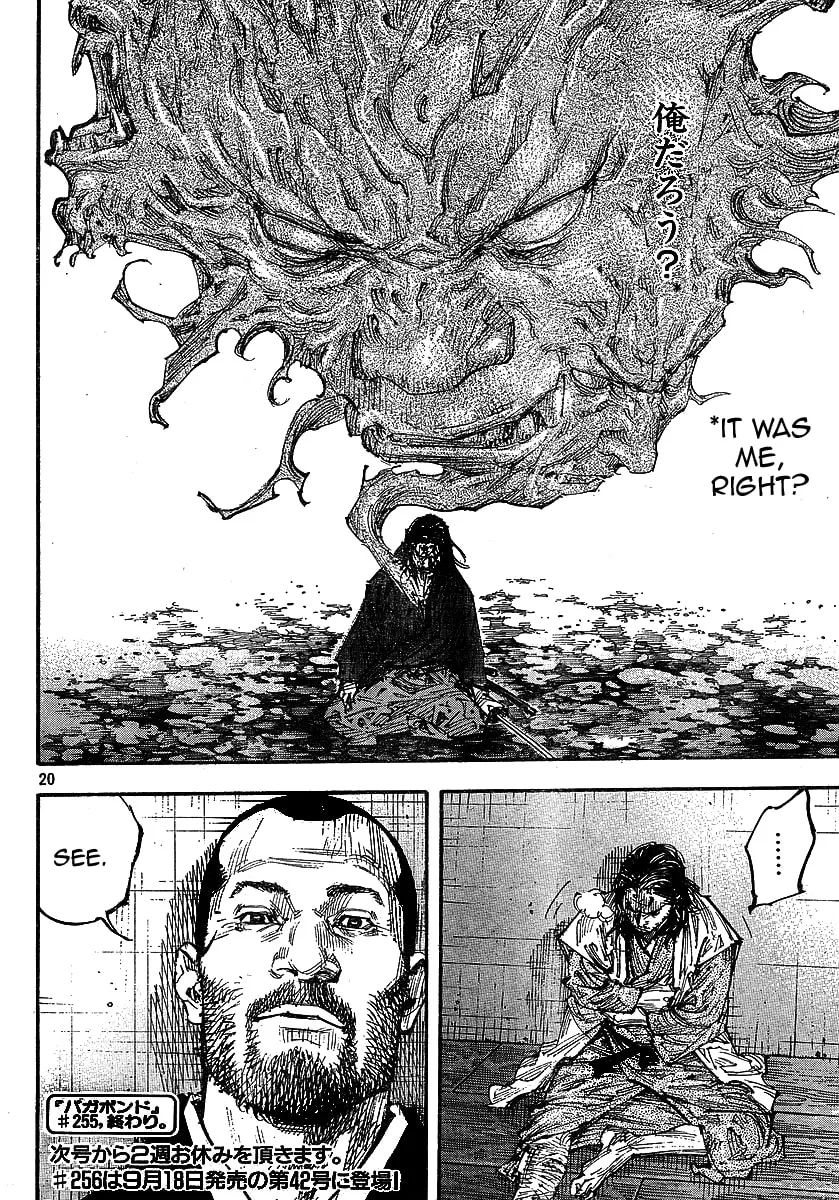 Vagabond Manga, chapter 255, page 19