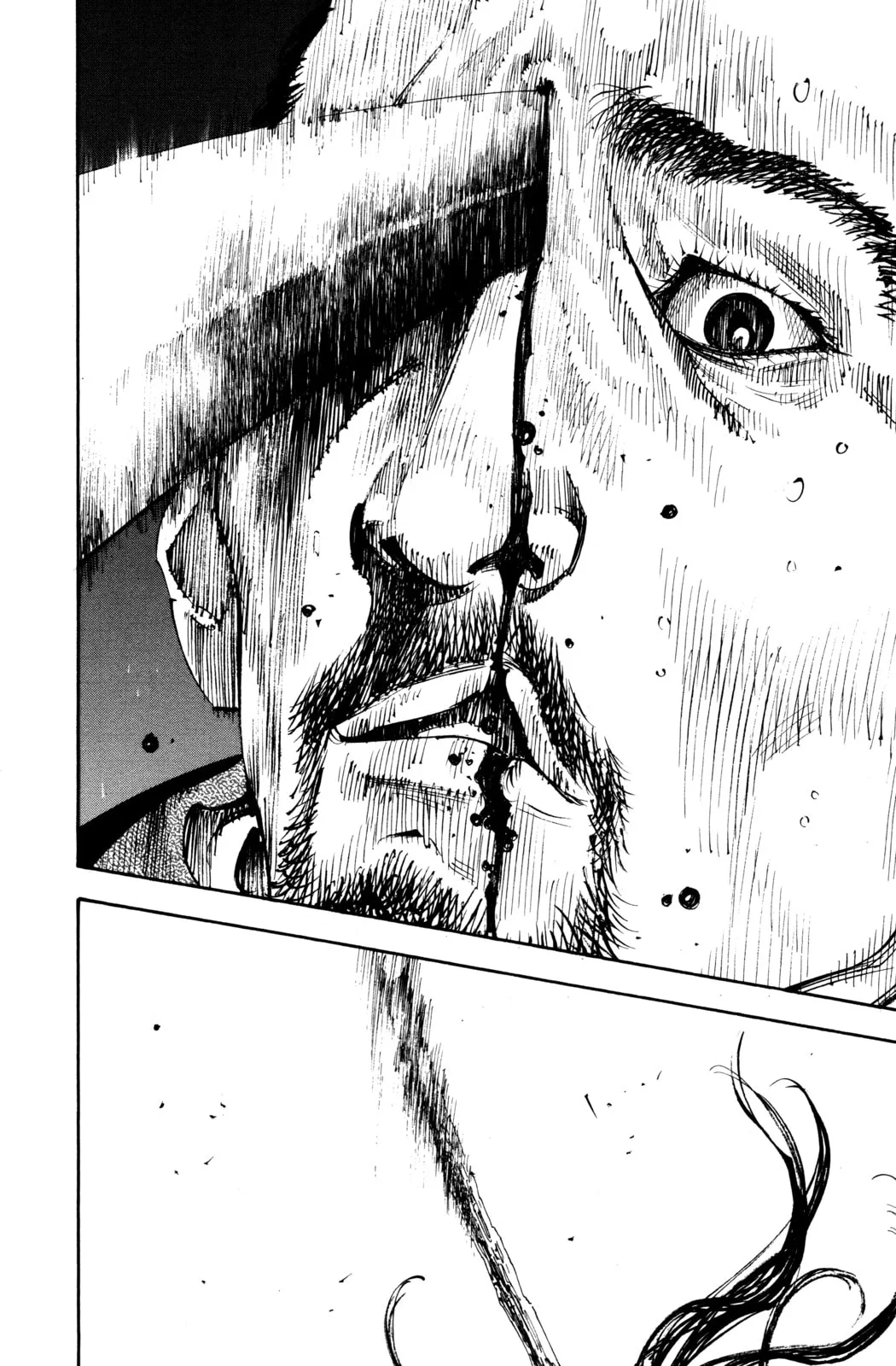 Vagabond Manga, chapter 258, page 6