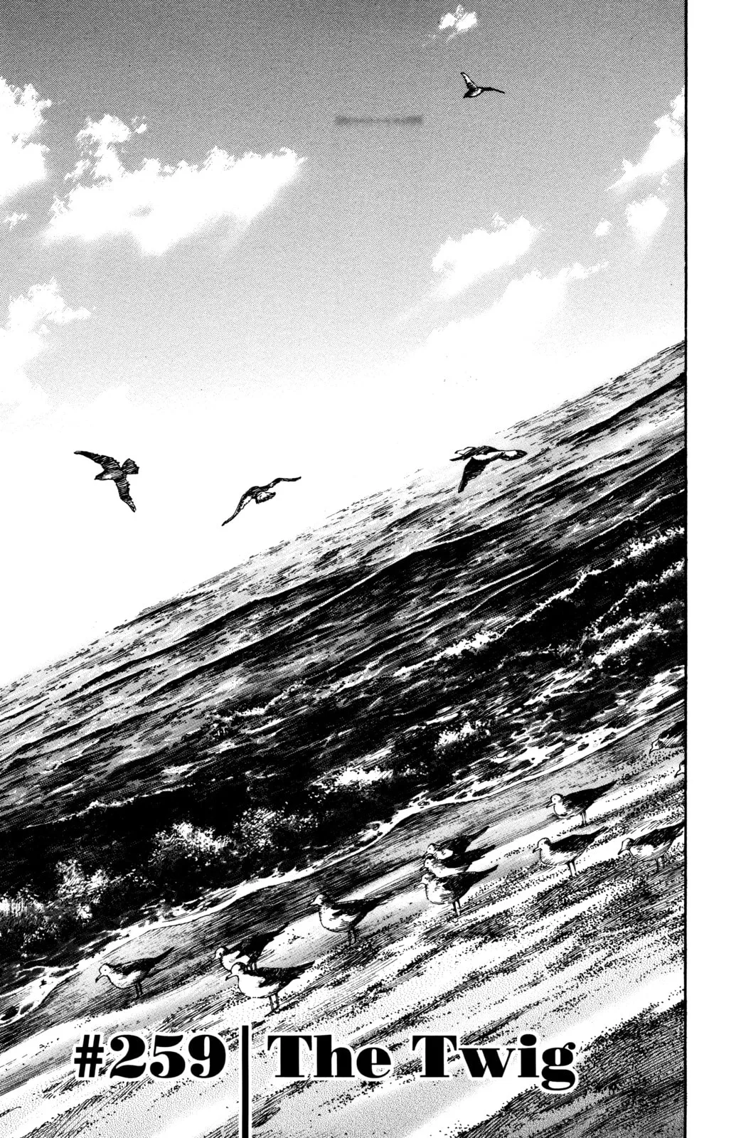 Vagabond Manga, chapter 259, page 1