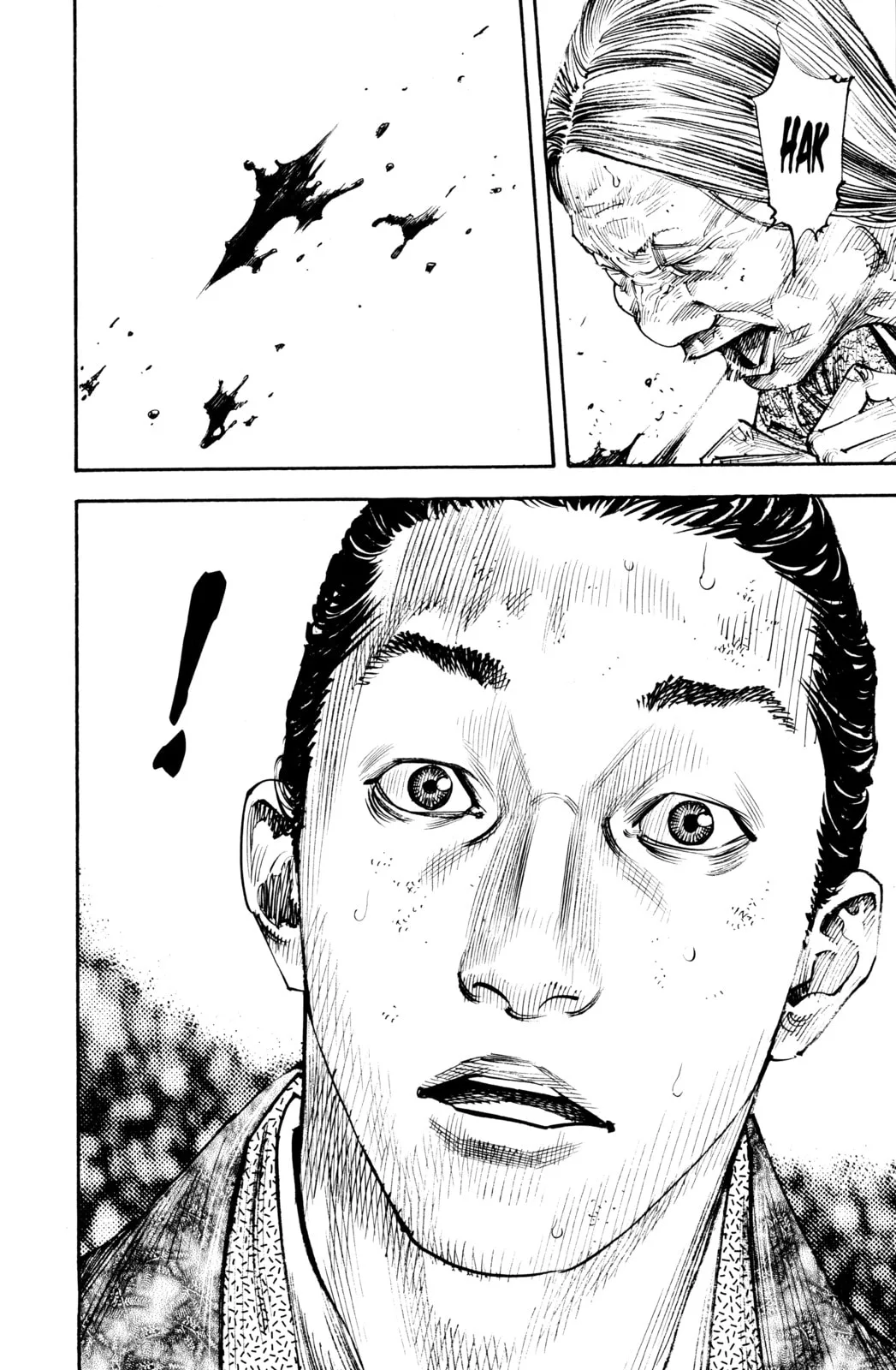Vagabond Manga, chapter 260, page 18