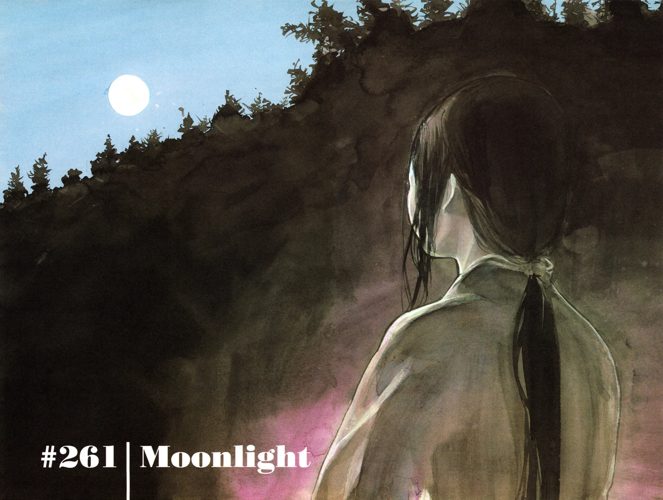Vagabond Manga, chapter 261, page 3