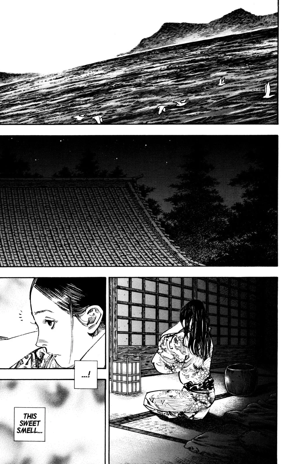 Vagabond Manga, chapter 263, page 8