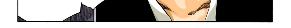 Bleach Colored Manga, chapter 341, page 24