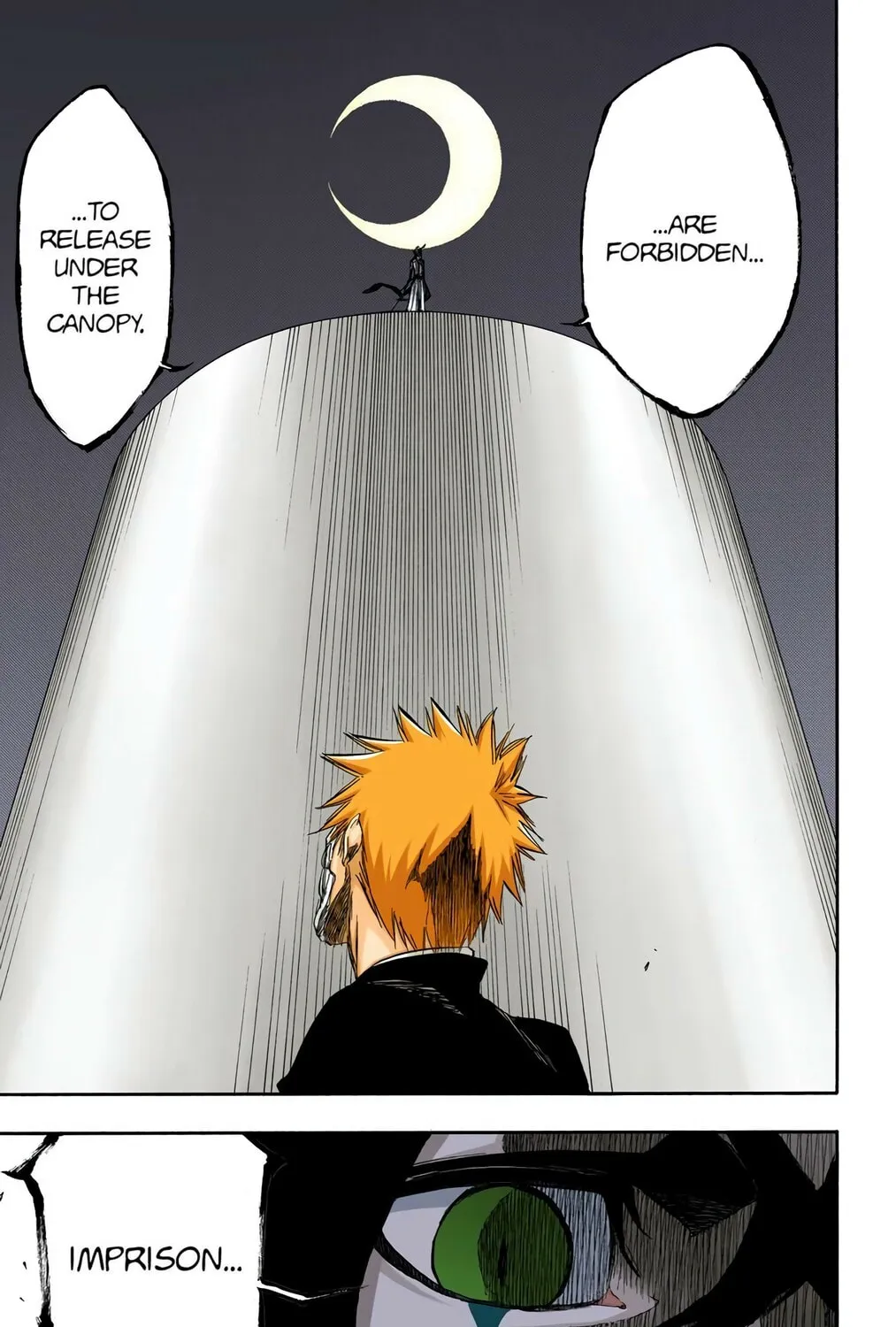 Bleach Colored Manga, chapter 344, page 35
