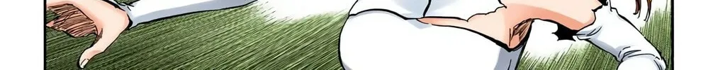 Bleach Colored Manga, chapter 349, page 10