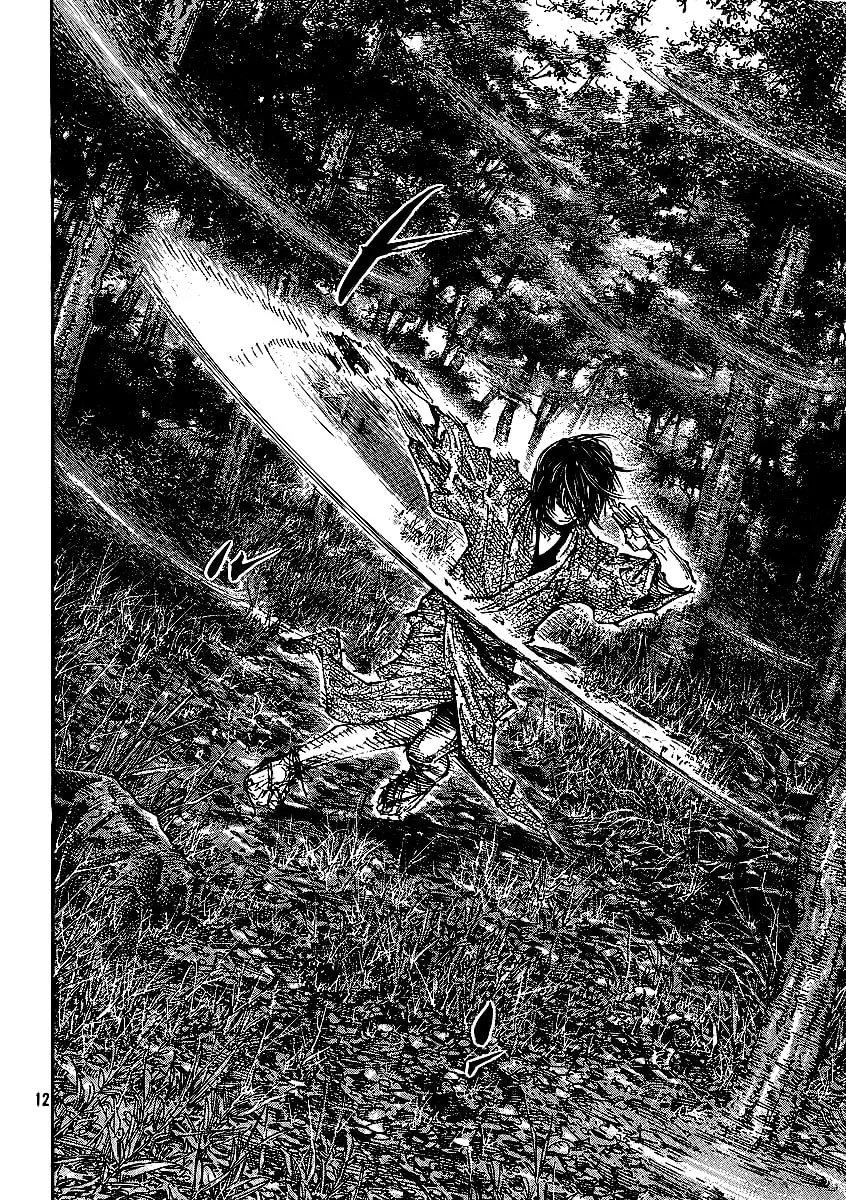 Vagabond Manga, chapter 282, page 12