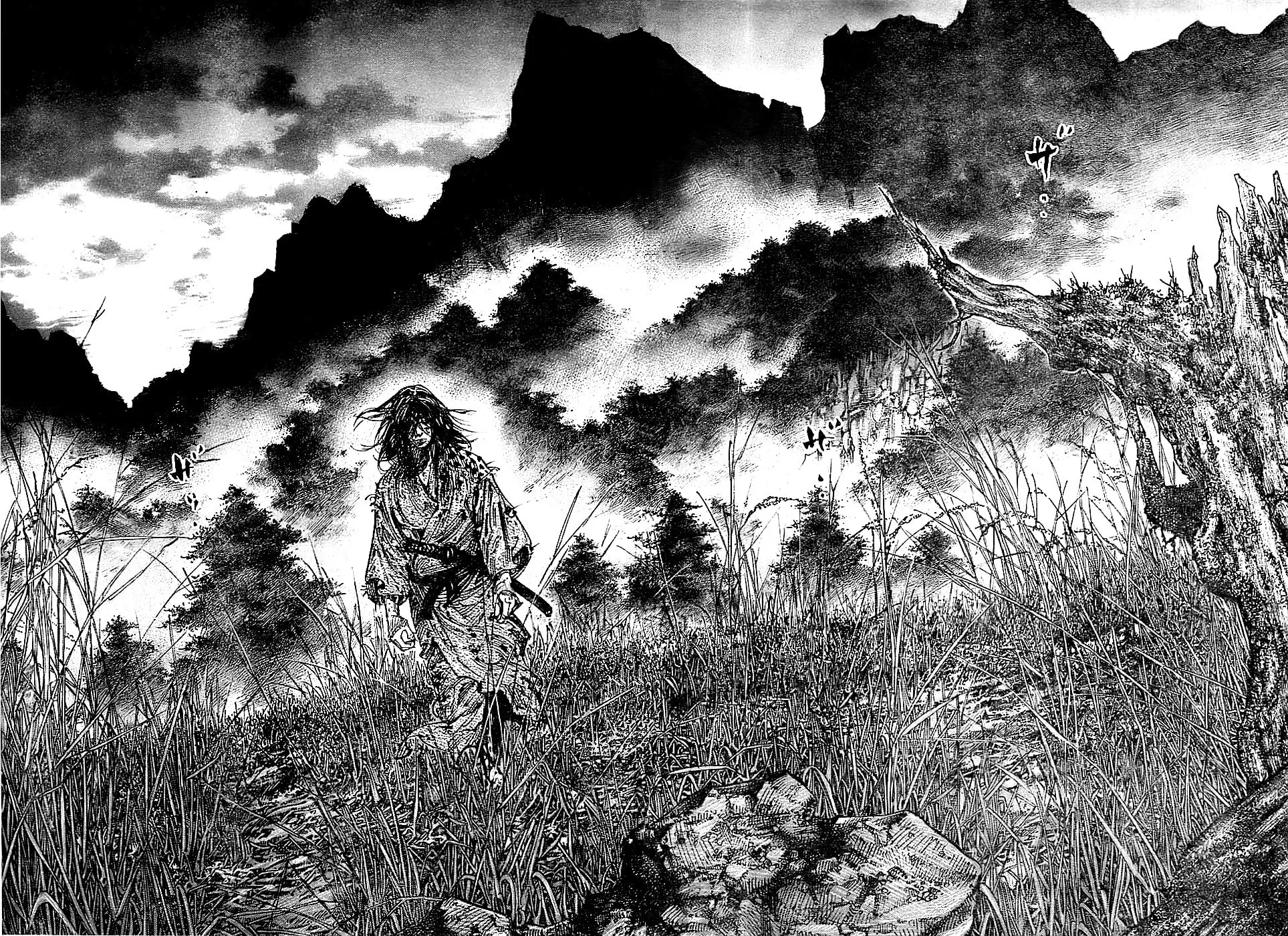 Vagabond Manga, chapter 285, page 13