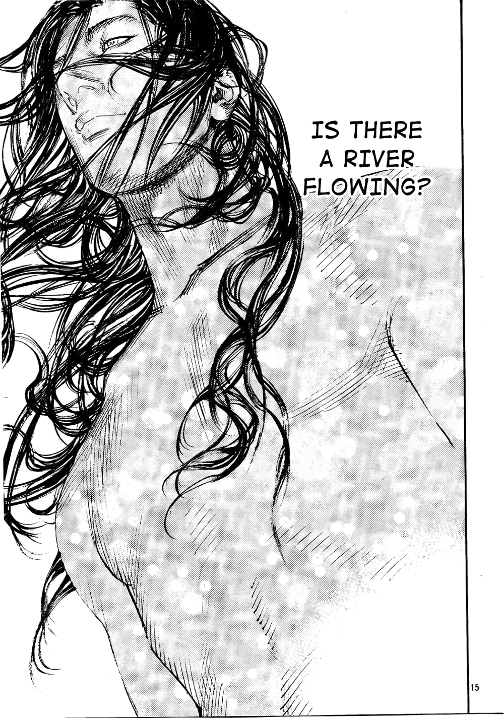 Vagabond Manga, chapter 290, page 15