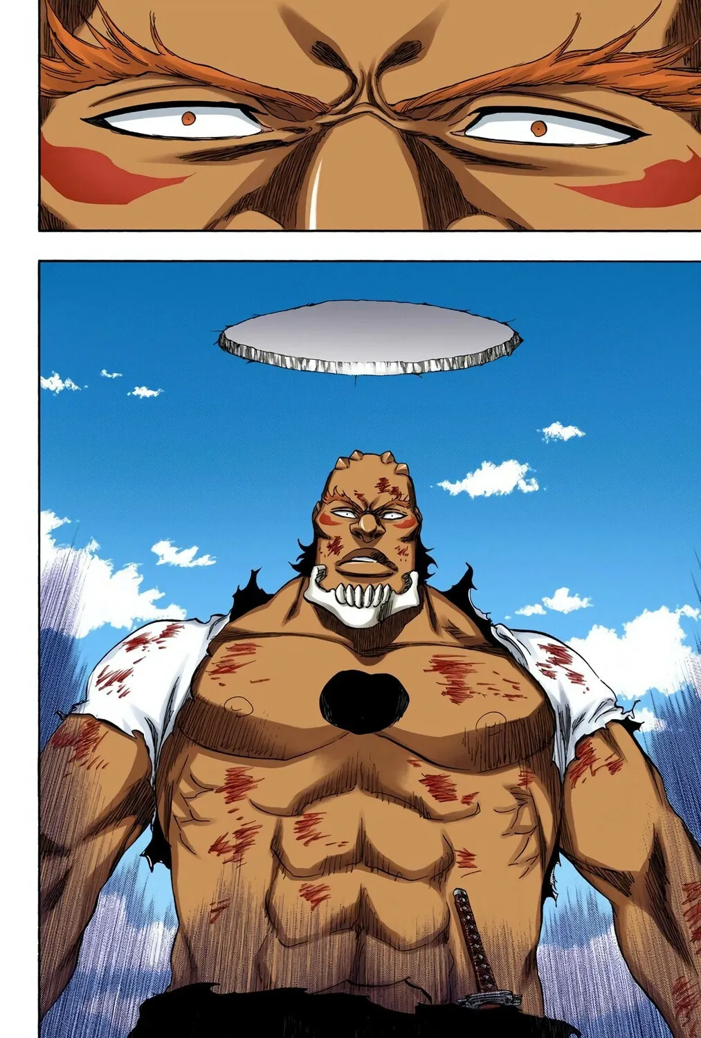 Bleach Colored Manga, chapter 354, page 11