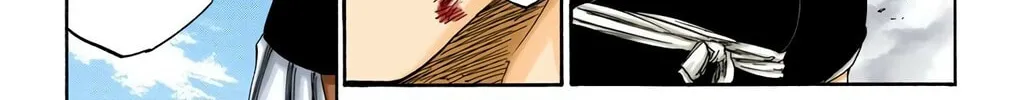 Bleach Colored Manga, chapter 355, page 22