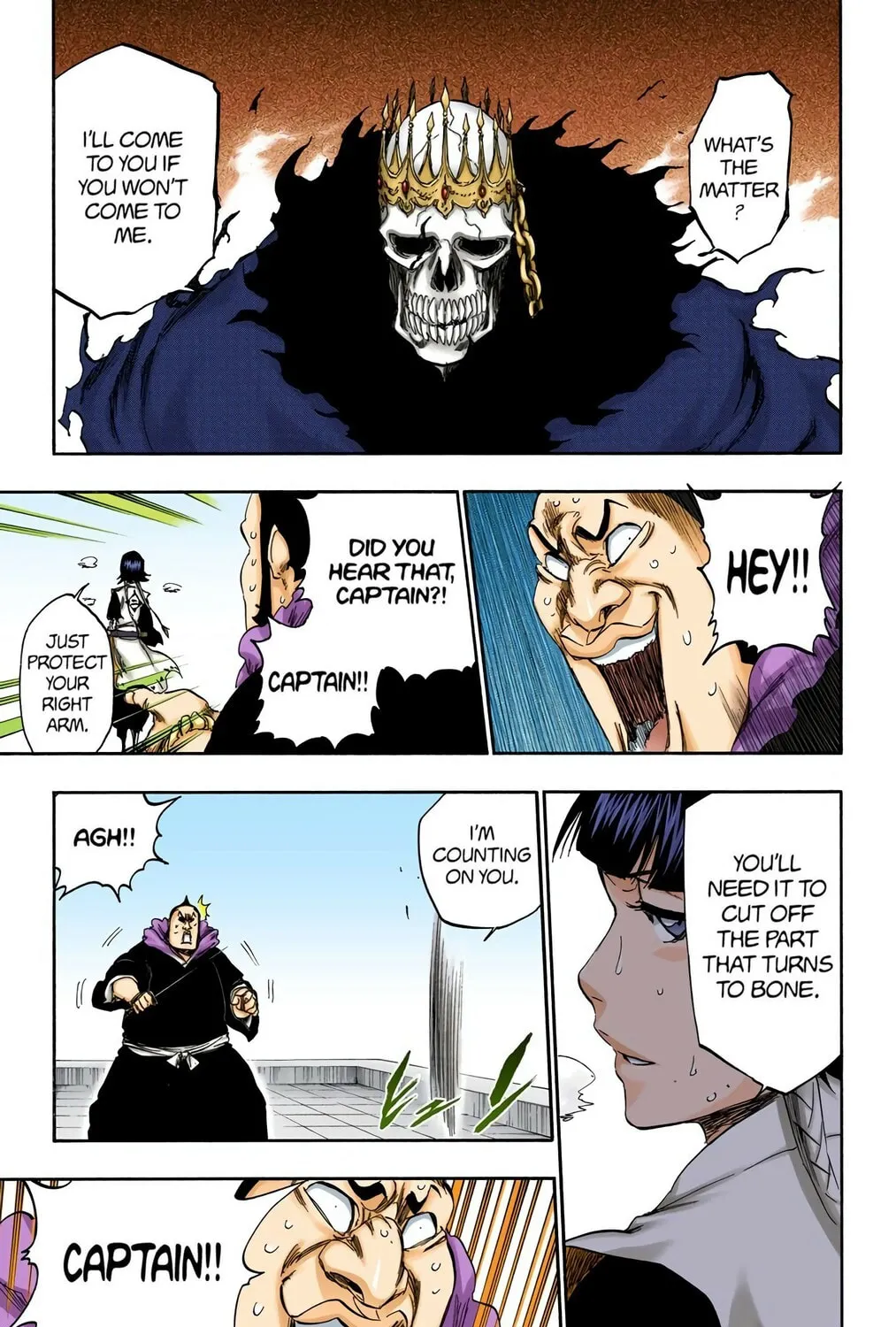 Bleach Colored Manga, chapter 358, page 21