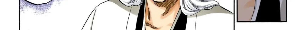 Bleach Colored Manga, chapter 361, page 28