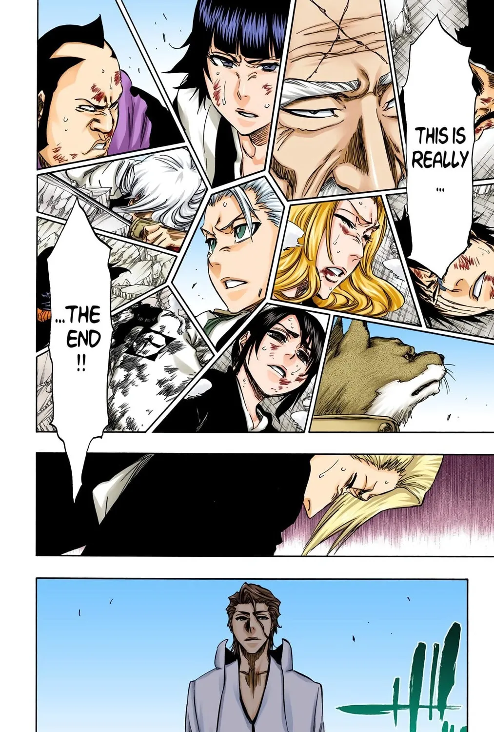 Bleach Colored Manga, chapter 364, page 29