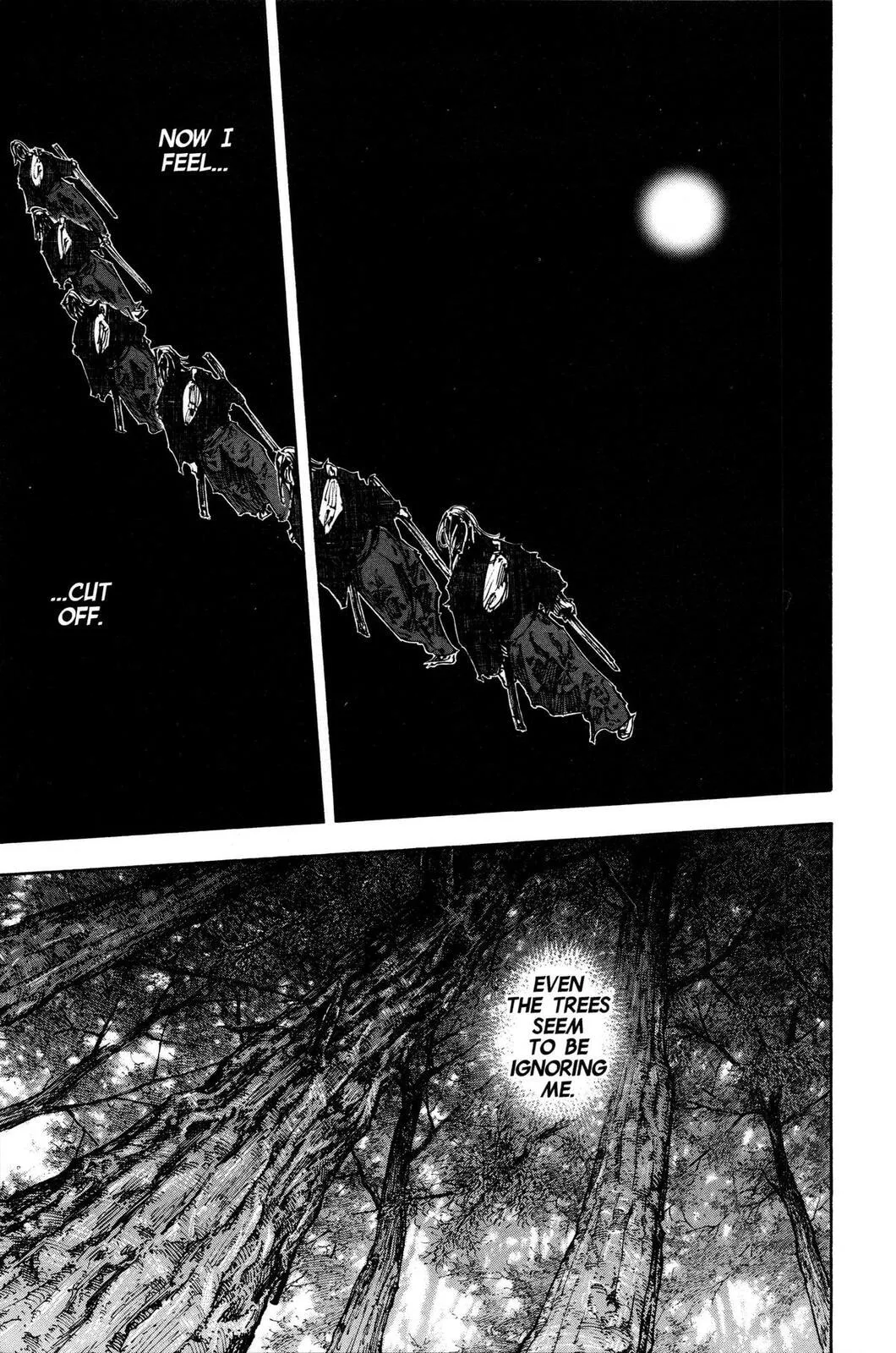 Vagabond Manga, chapter 294, page 28