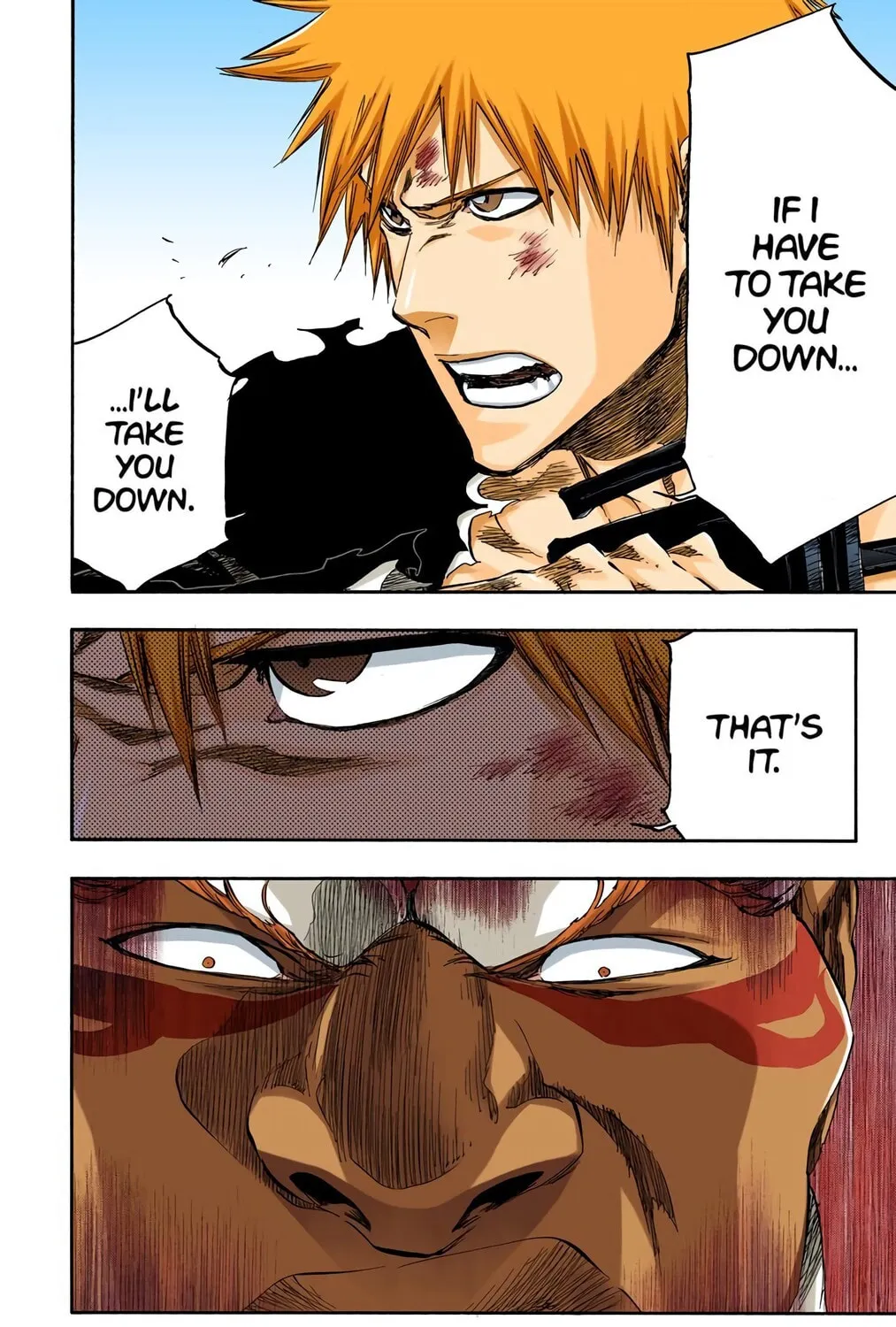Bleach Colored Manga, chapter 379, page 25