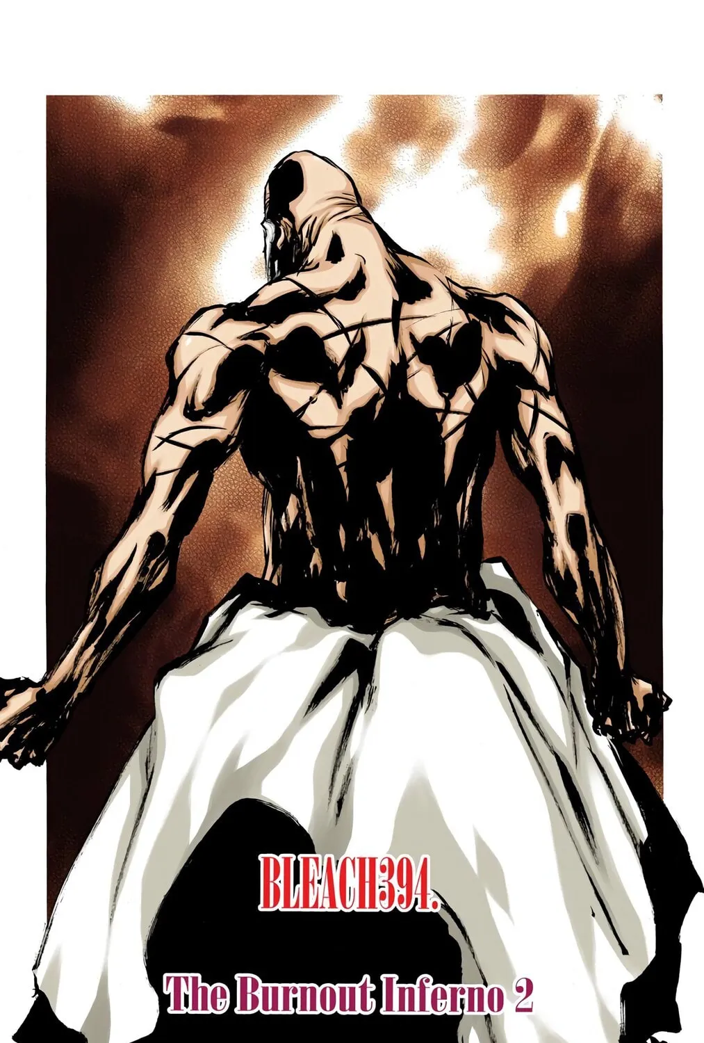 Bleach Colored Manga, chapter 394, page 7