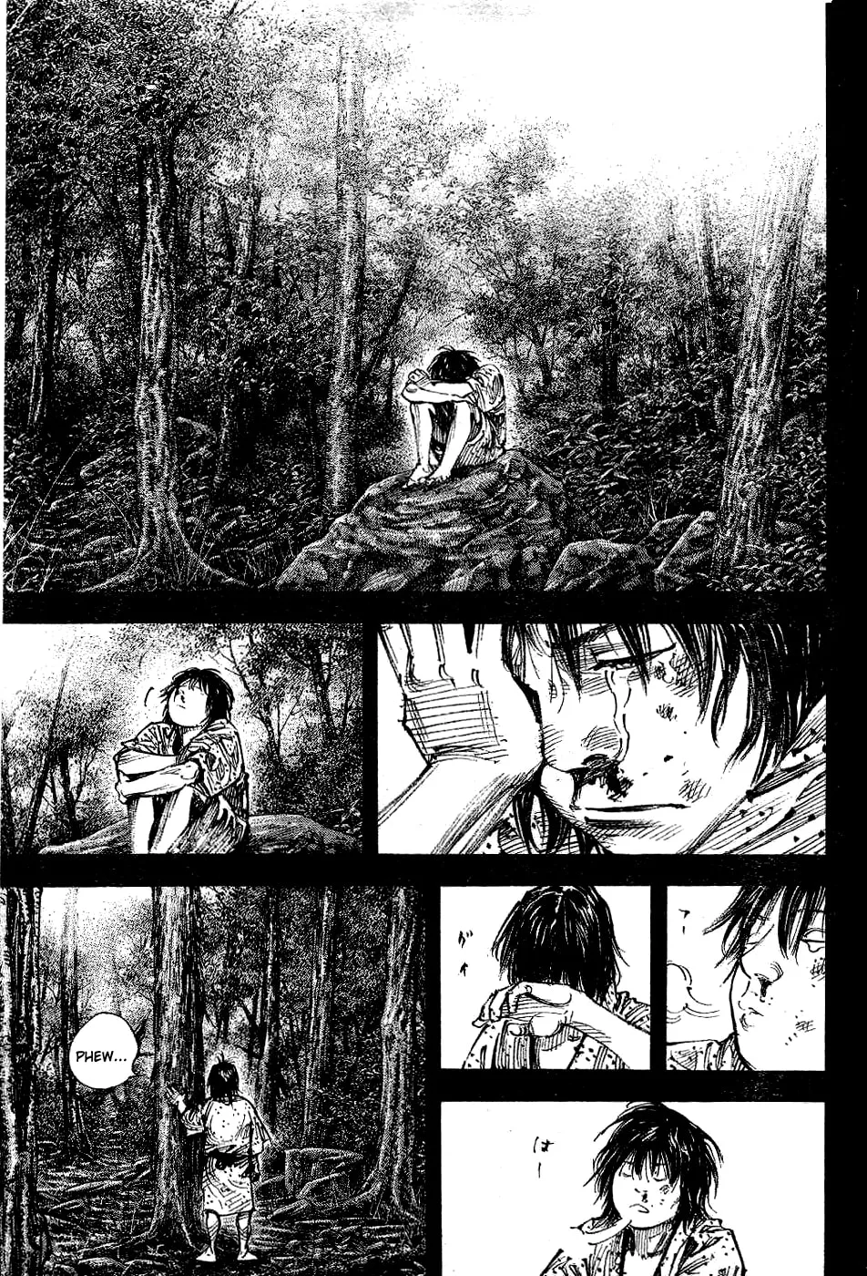 Vagabond Manga, chapter 306, page 13