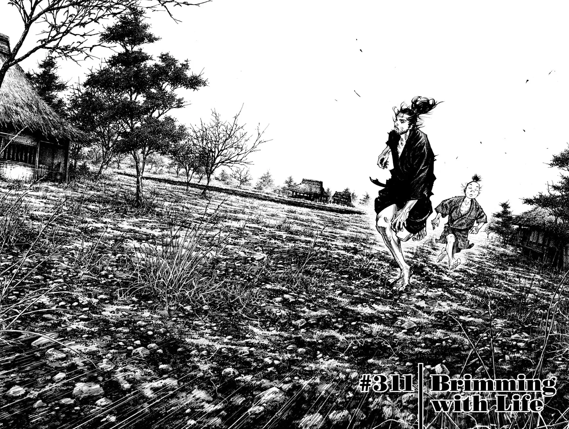 Vagabond Manga, chapter 311, page 2