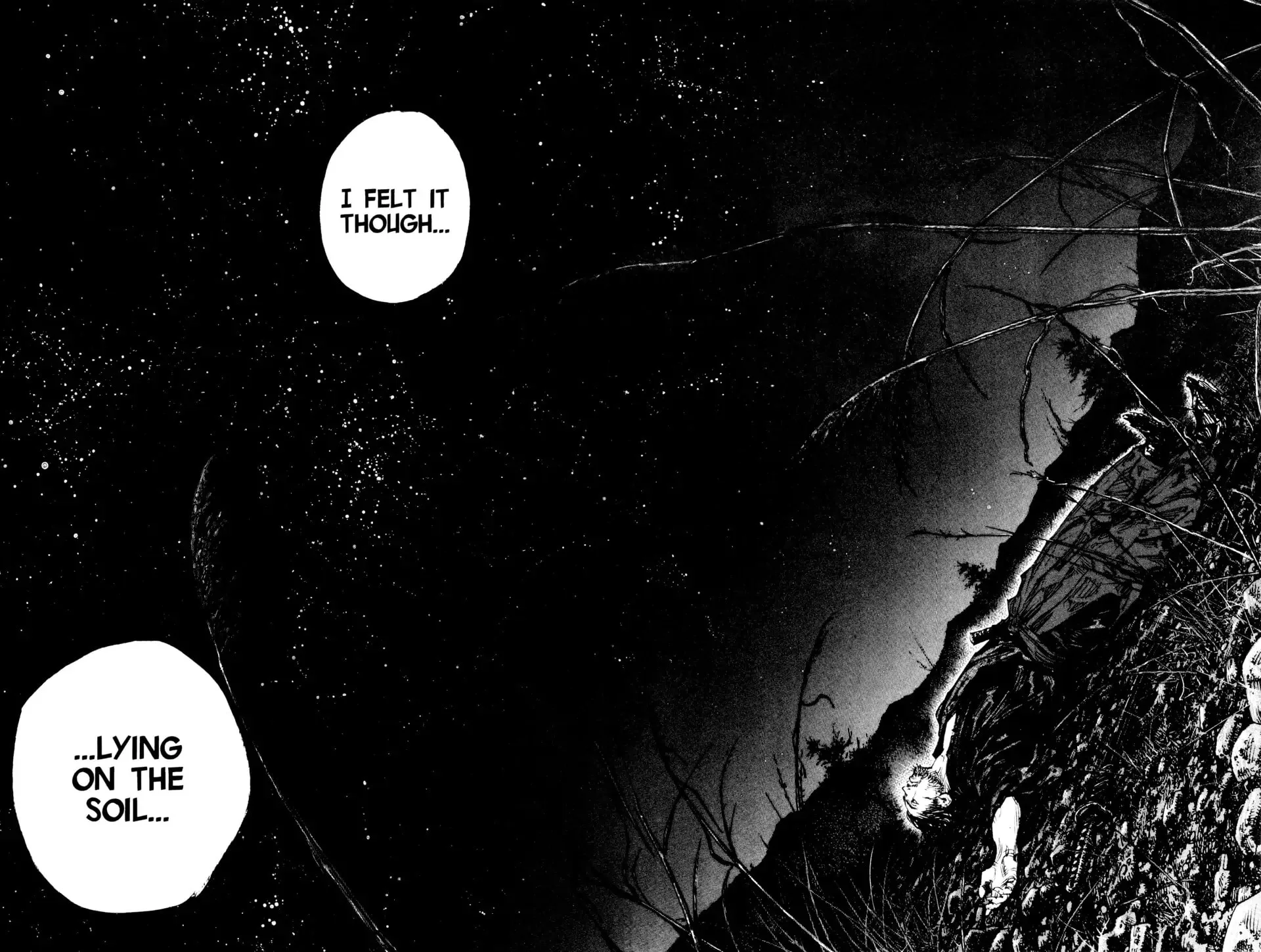 Vagabond Manga, chapter 311, page 18