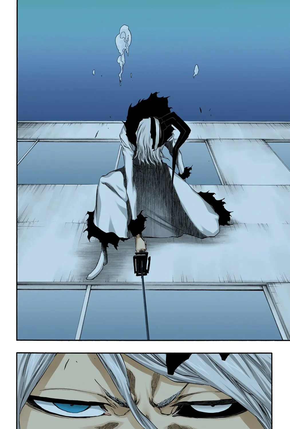 Bleach Colored Manga, chapter 411, page 15