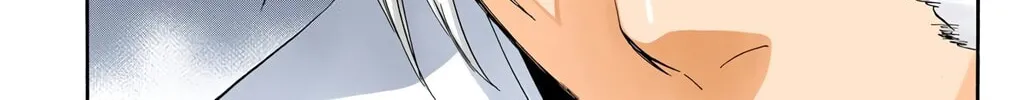Bleach Colored Manga, chapter 415, page 18