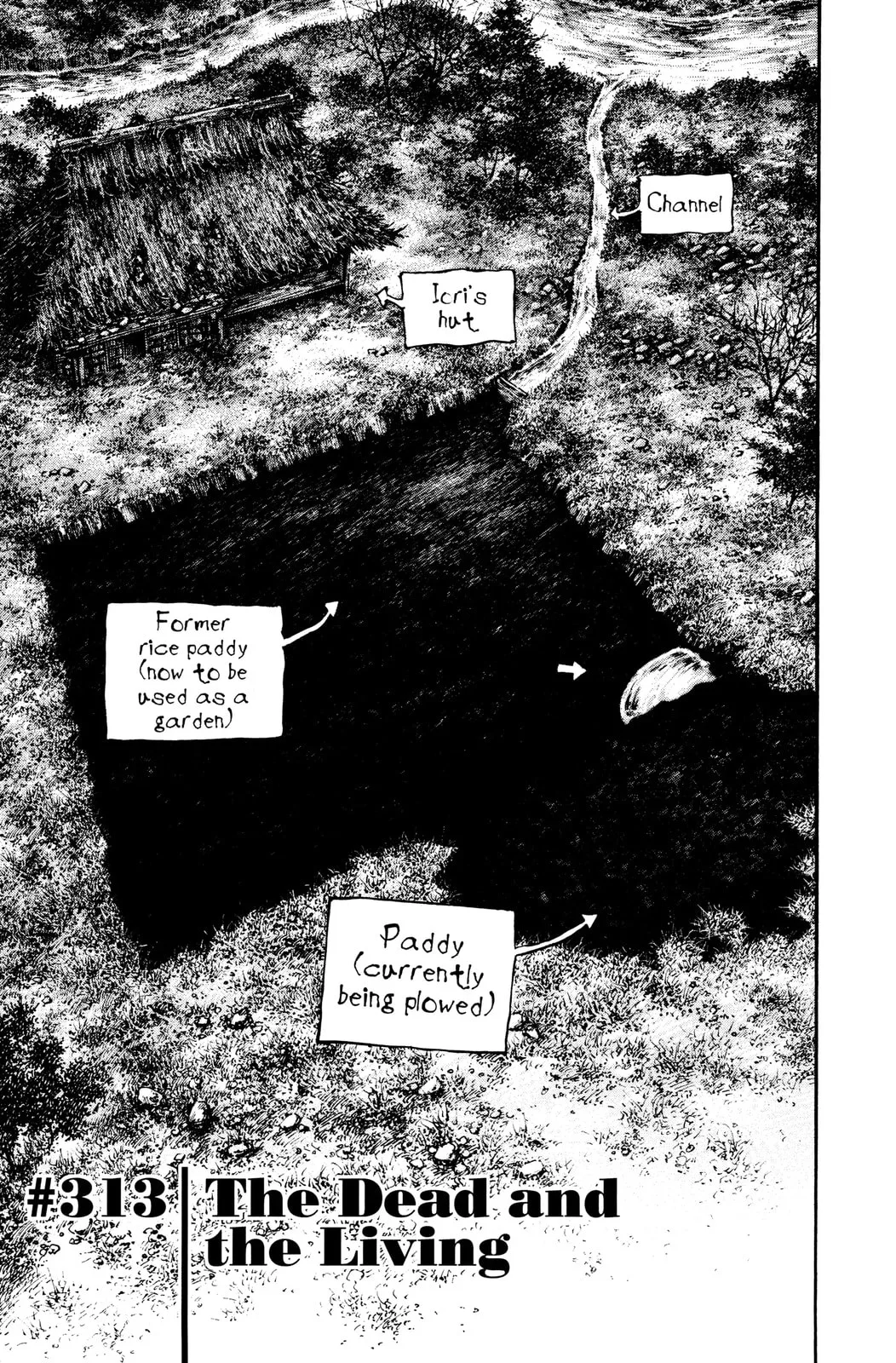 Vagabond Manga, chapter 313, page 3