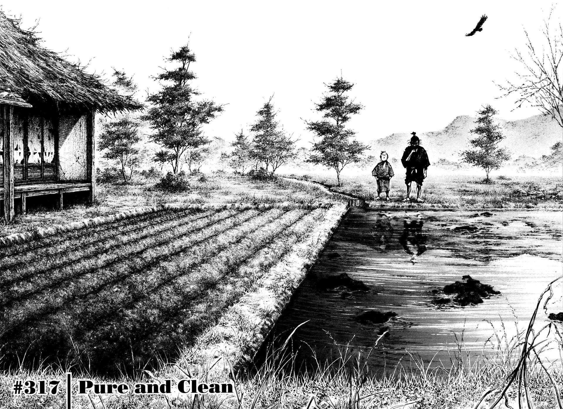 Vagabond Manga, chapter 317, page 2