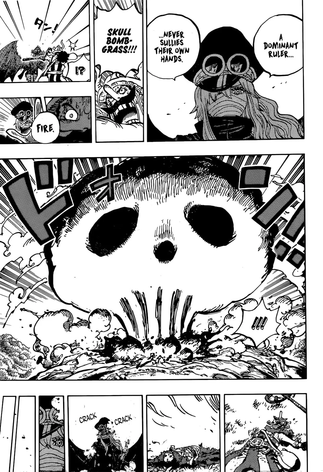 One Piece Manga, chapter 1177, page 15