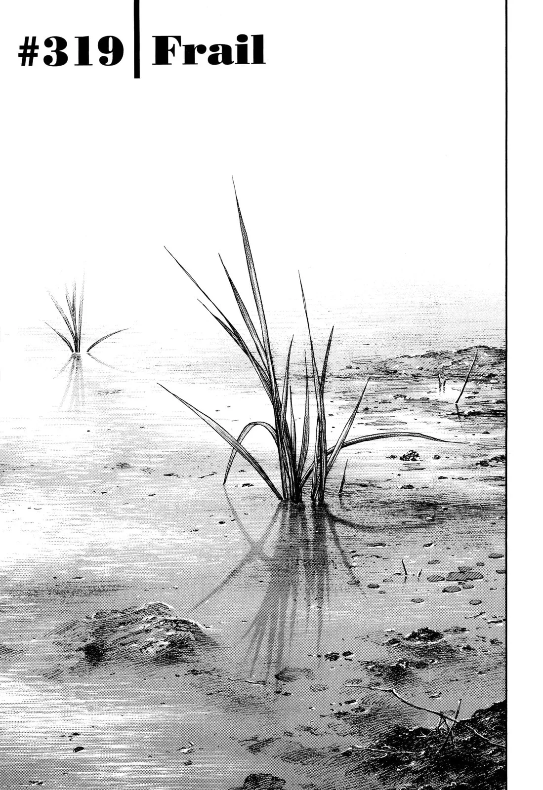 Vagabond Manga, chapter 319, page 1