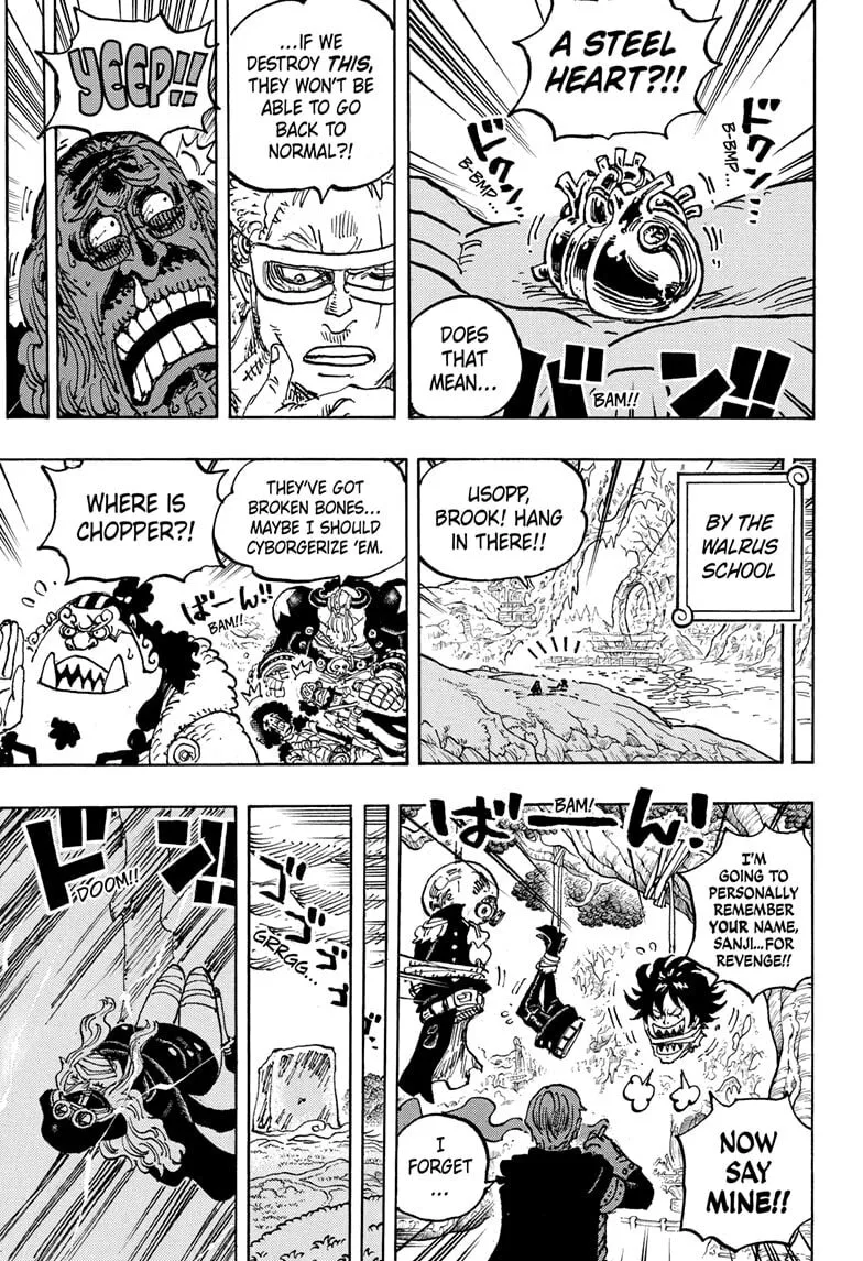One Piece Manga, chapter 1179, page 17