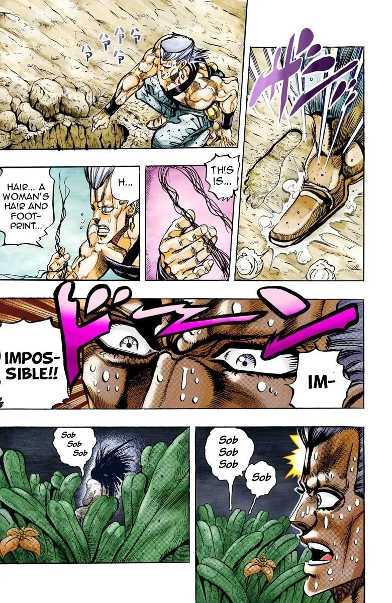 JoJo no Kimyou na Bouken Part 3: Stardust Crusaders Colored Manga, chapter 62, page 17