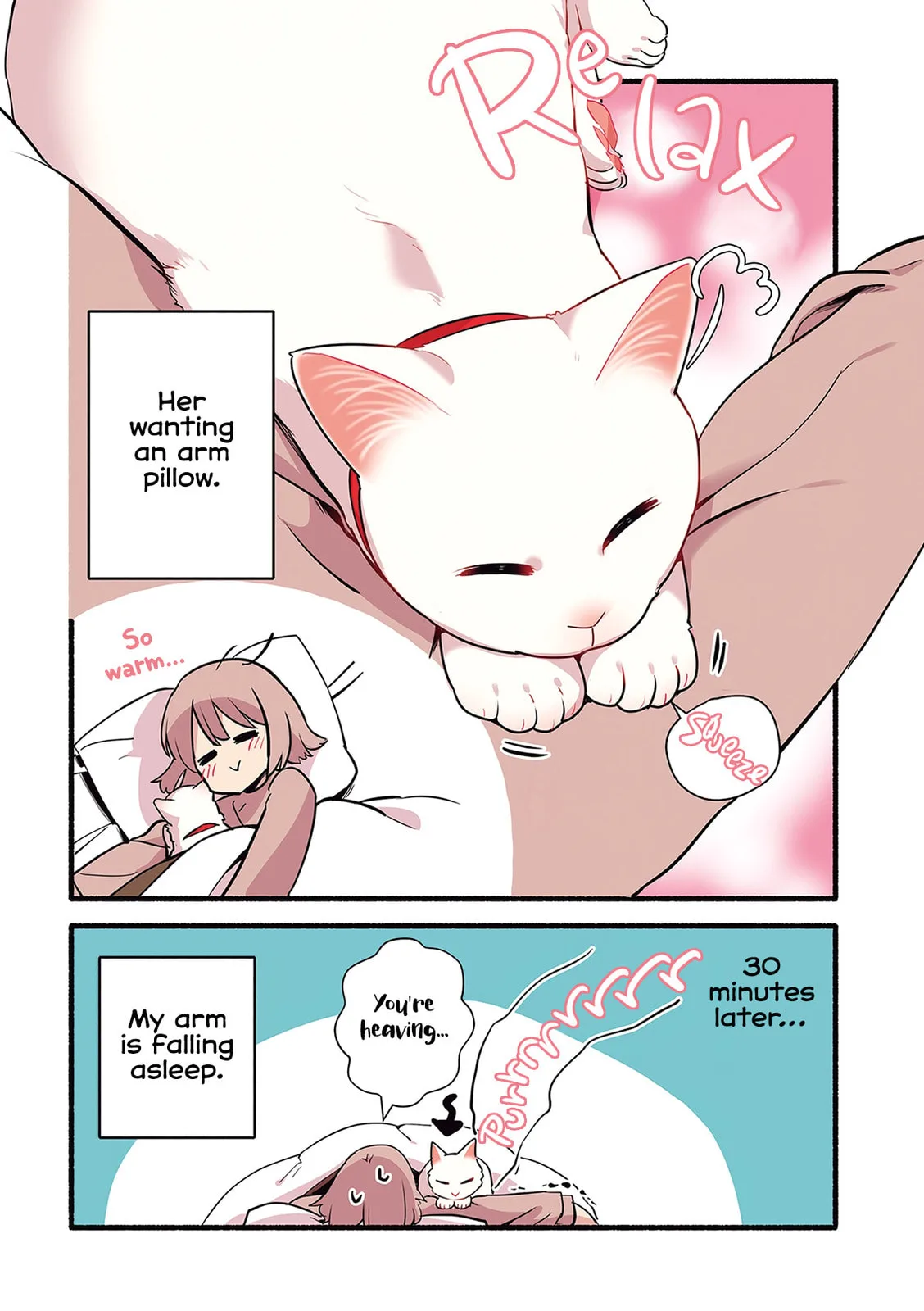 Miko, A White Cat That Wants To Be Loved, chapter 1.2, page 4
