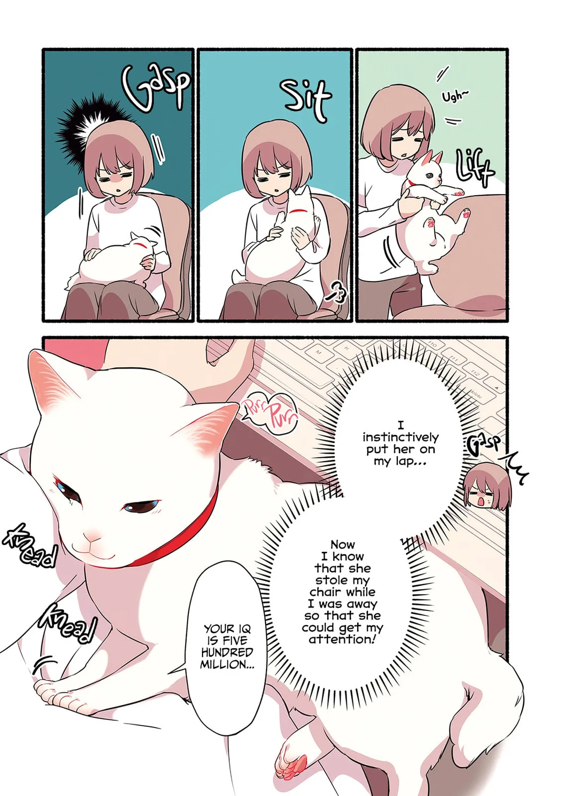 Miko, A White Cat That Wants To Be Loved, chapter 1.3, page 2