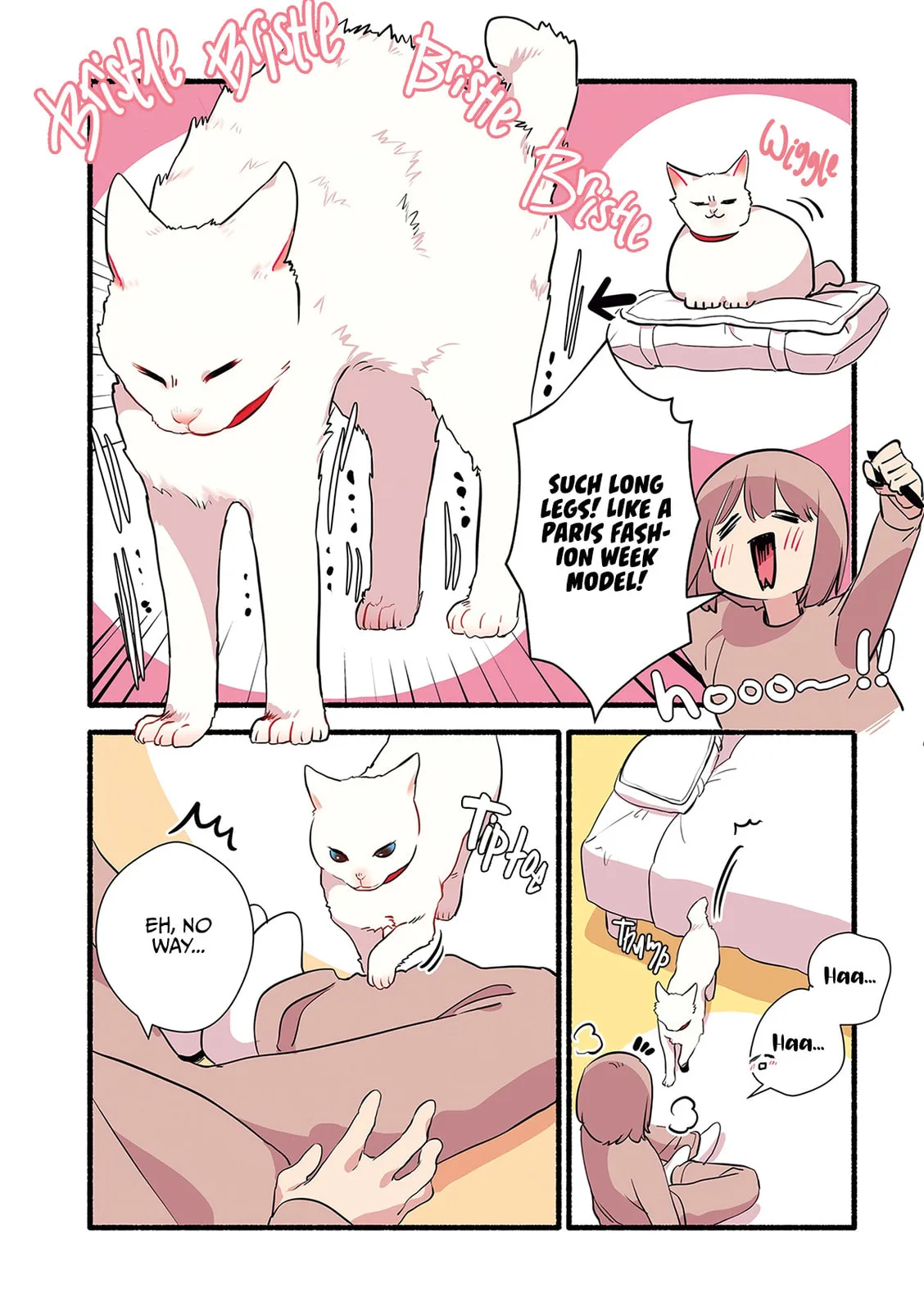 Miko, A White Cat That Wants To Be Loved, chapter 1.5, page 3