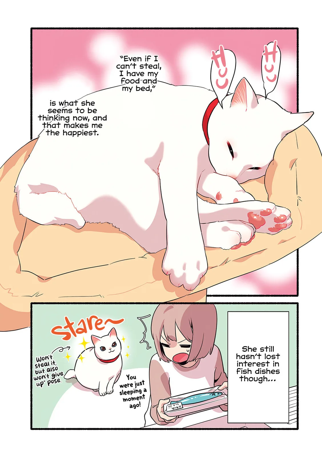 Miko, A White Cat That Wants To Be Loved, chapter 1.9, page 5