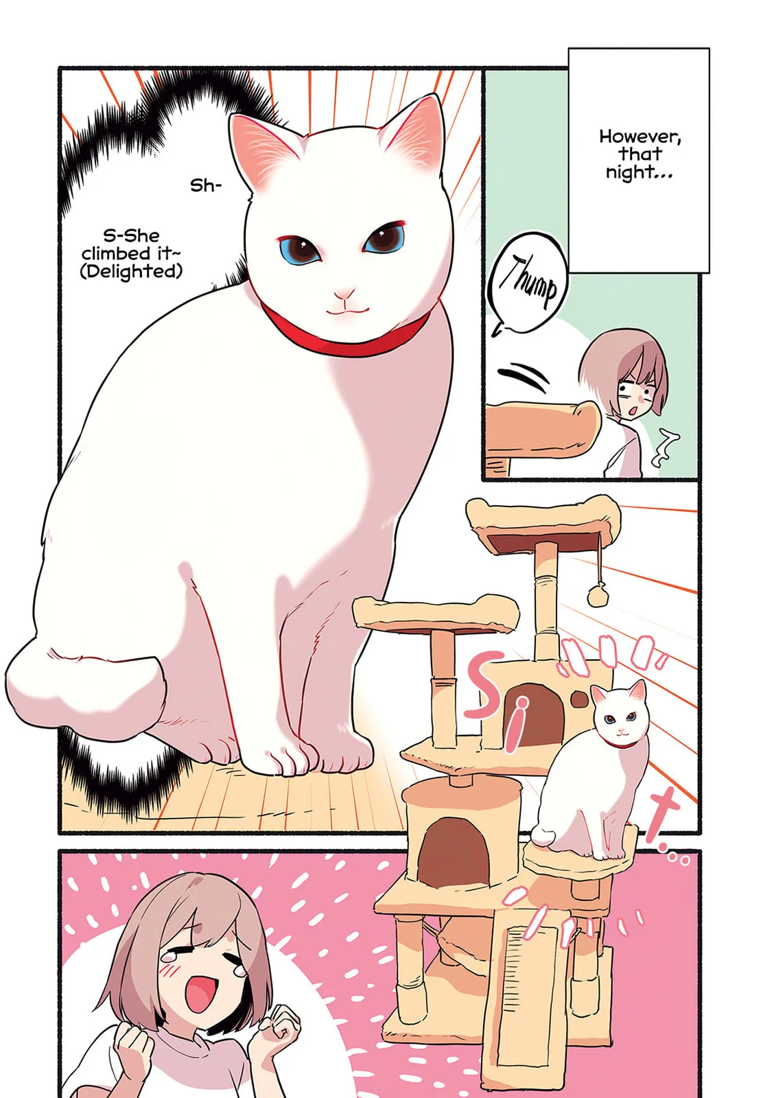 Miko, A White Cat That Wants To Be Loved, chapter 3.3, page 2