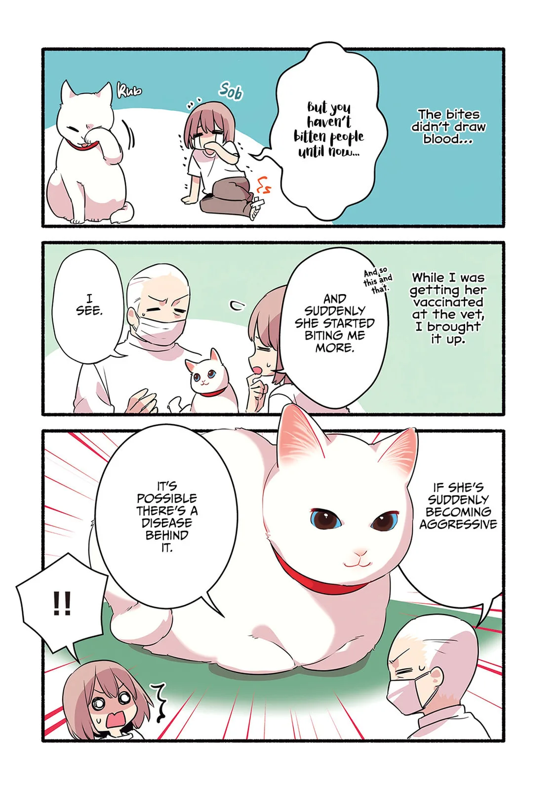 Miko, A White Cat That Wants To Be Loved, chapter 3.6, page 2