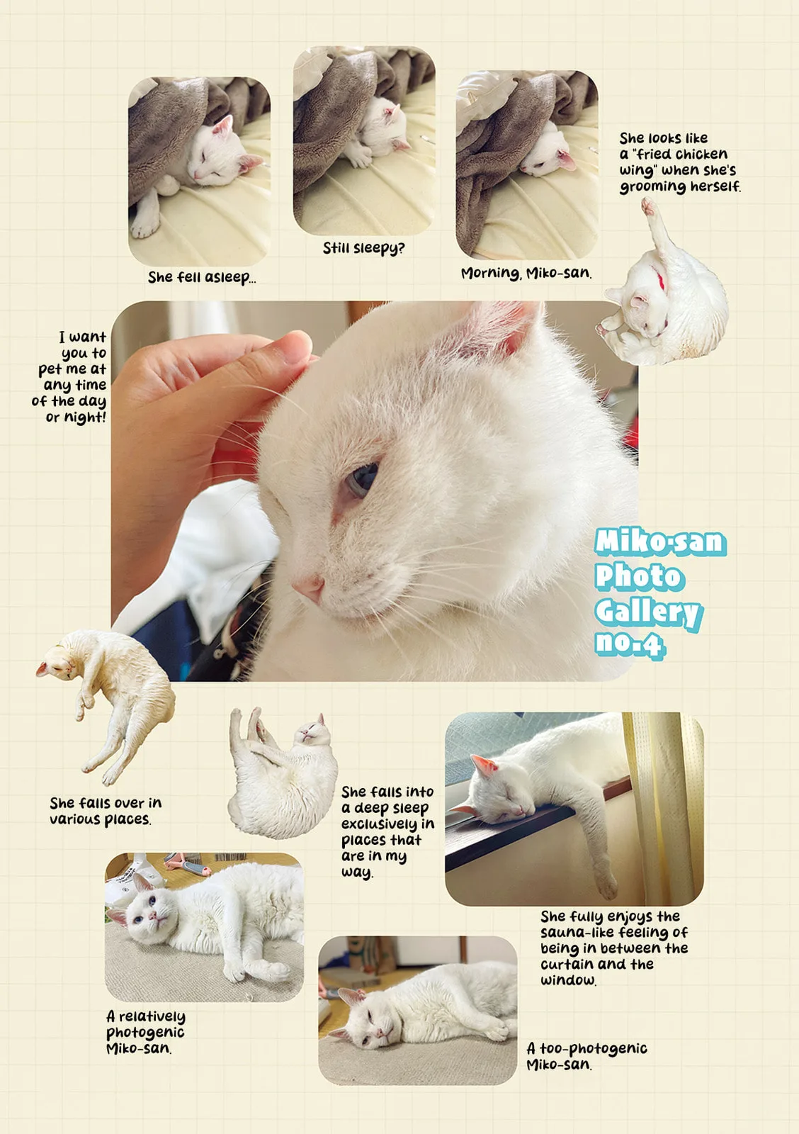 Miko, A White Cat That Wants To Be Loved, chapter 4.1, page 7