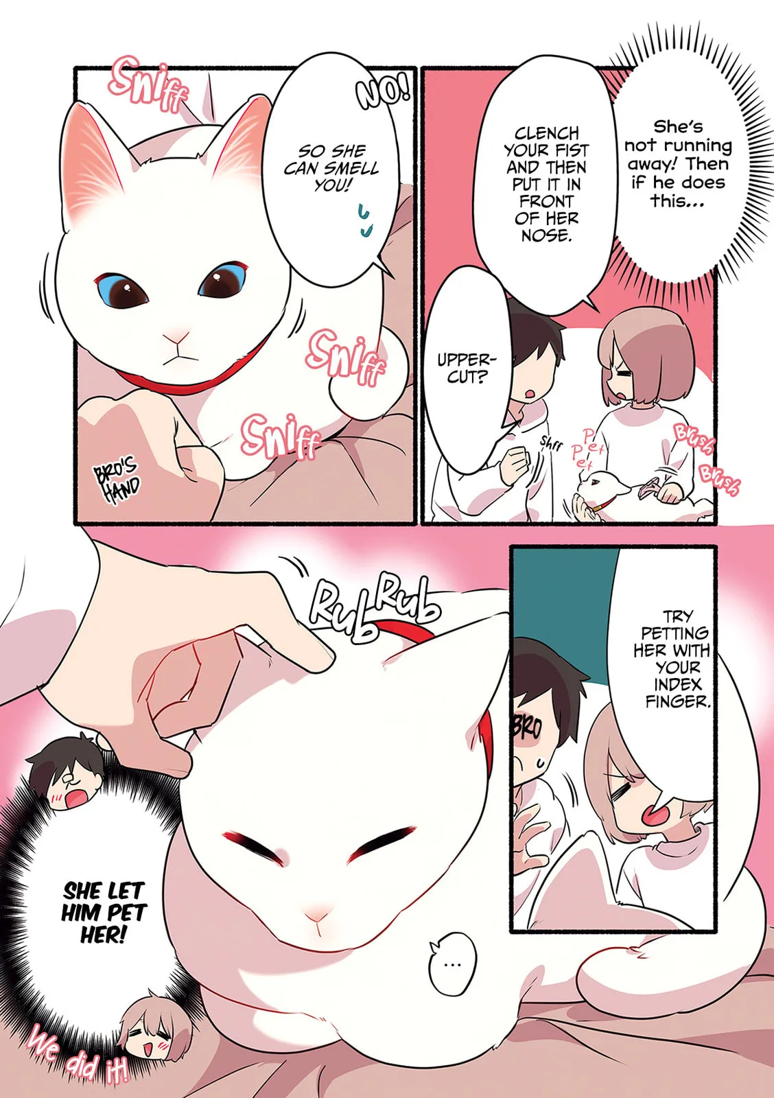 Miko, A White Cat That Wants To Be Loved, chapter 4.2, page 5