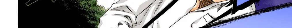 Bleach Colored Manga, chapter 457, page 24