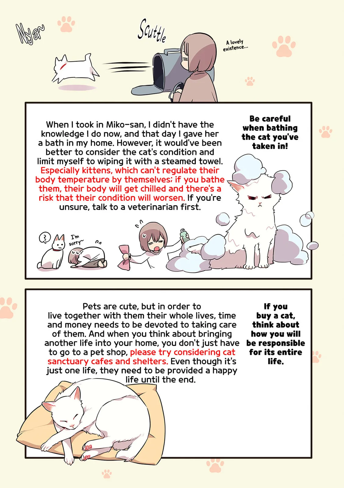 Miko, A White Cat That Wants To Be Loved, chapter 5.5, page 2