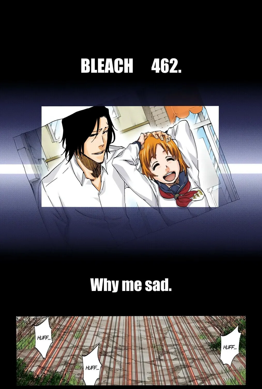 Bleach Colored Manga, chapter 462, page 9