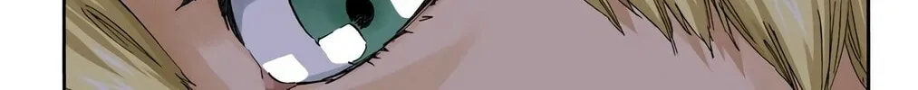 Bleach Colored Manga, chapter 466, page 14