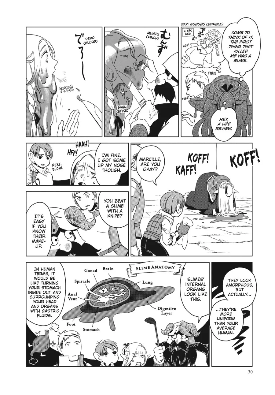 Delicious in Dungeon, chapter 1, page 26