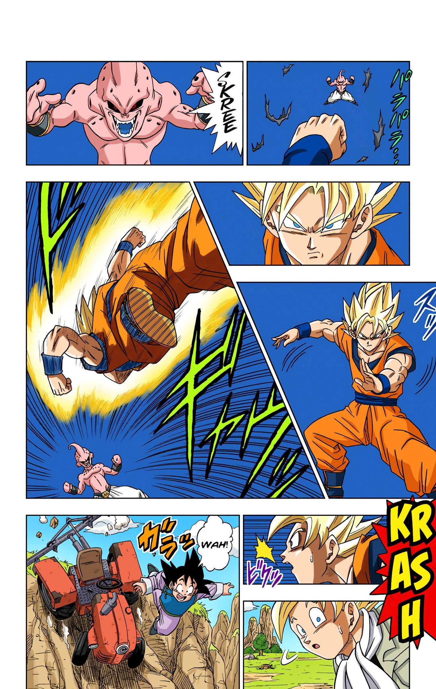 DBS Colored